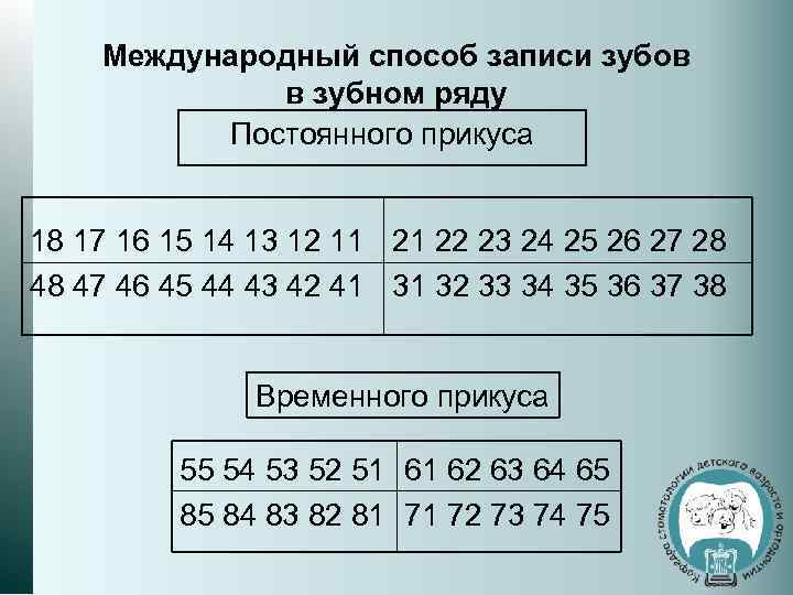 Международный способ записи зубов в зубном ряду Постоянного прикуса 18 17 16 15 14