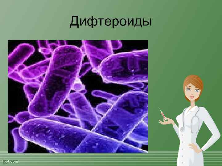 Дифтероиды 