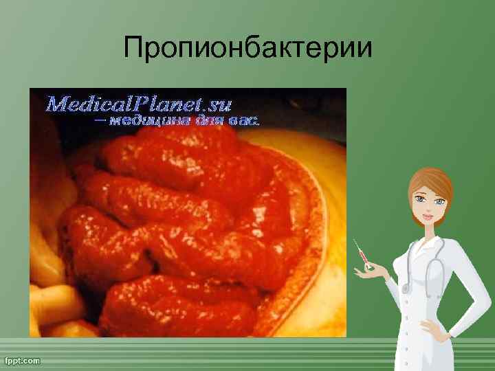 Пропионбактерии 