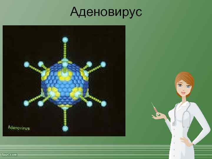 Аденовирус 