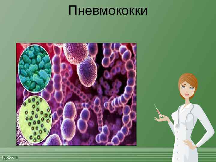 Пневмококки 