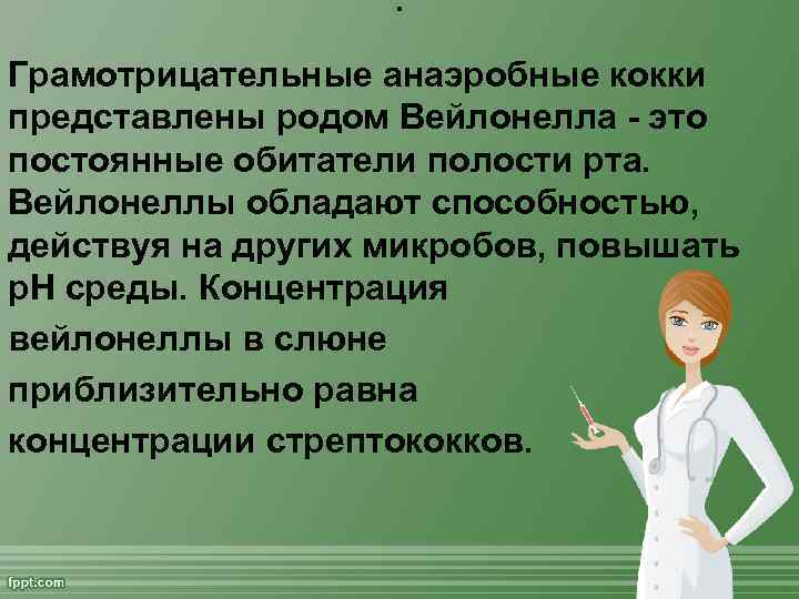 . Грамотрицательные анаэробные кокки представлены родом Вейлонелла - это постоянные обитатели полости рта. Вейлонеллы