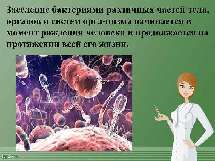 Заселение бактериями различных частей тела, органов и систем орга низма начинается в момент рождения