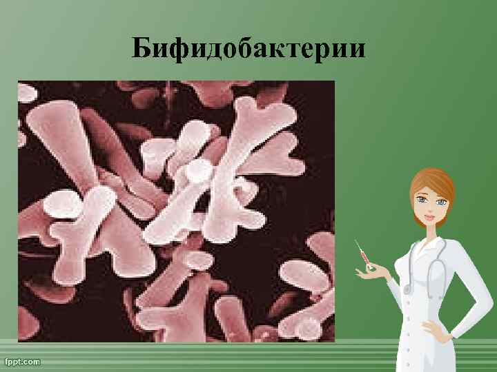 Бифидобактерии 