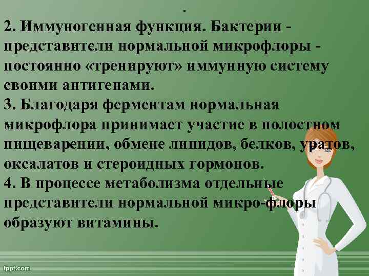 . 2. Иммуногенная функция. Бактерии представители нормальной микрофлоры постоянно «тренируют» иммунную систему своими антигенами.