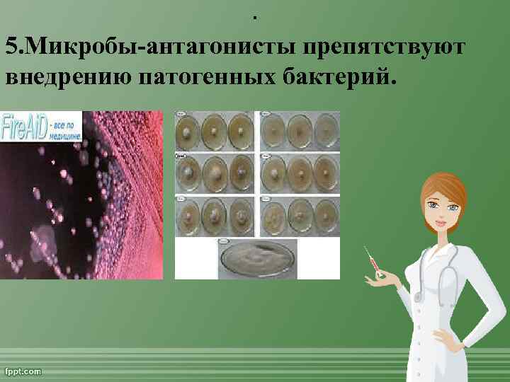 . 5. Микробы антагонисты препятствуют внедрению патогенных бактерий. 