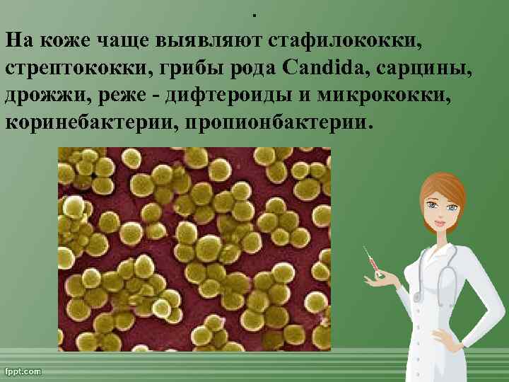 . На коже чаще выявляют стафилококки, стрептококки, грибы рода Candida, сарцины, дрожжи, реже дифтероиды