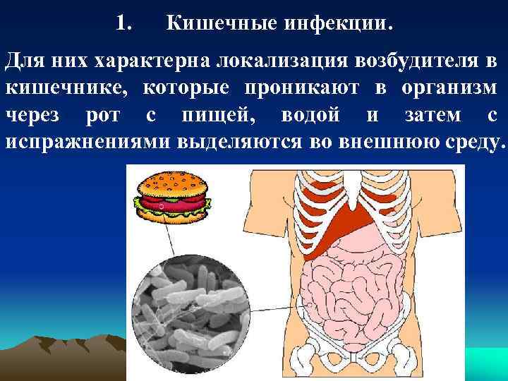1. Кишечные инфекции. Для них характерна локализация возбудителя в кишечнике, которые проникают в организм