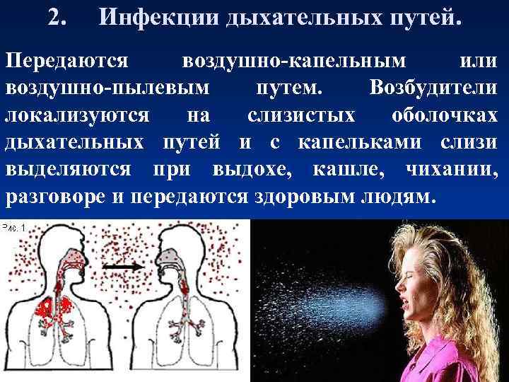 2. Инфекции дыхательных путей. Передаются воздушно-капельным или воздушно-пылевым путем. Возбудители локализуются на слизистых оболочках