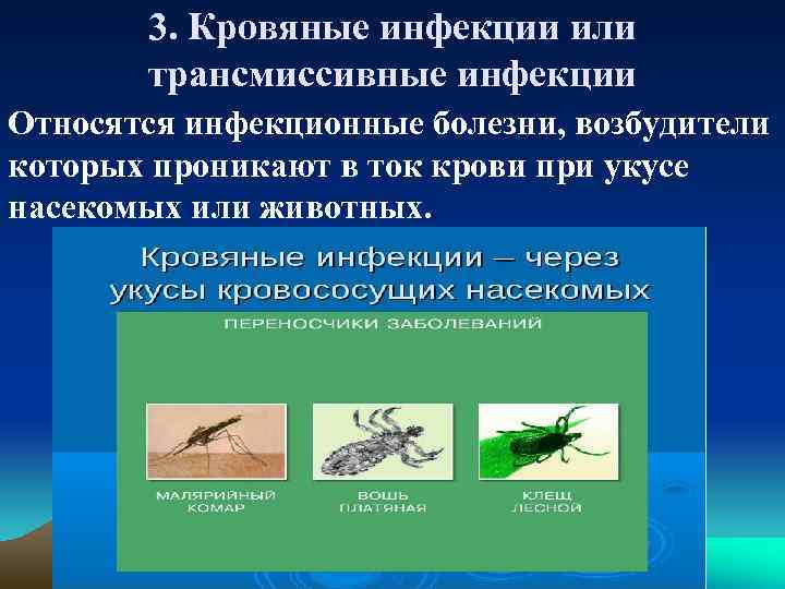 3. Кровяные инфекции или трансмиссивные инфекции Относятся инфекционные болезни, возбудители которых проникают в ток