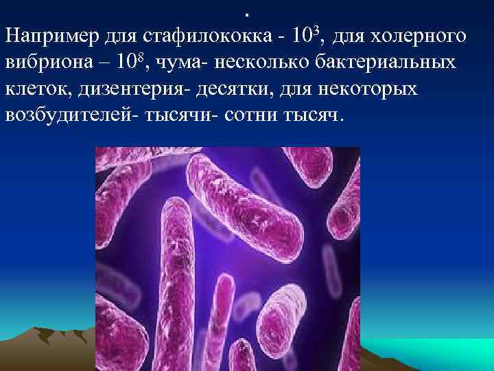 . Например для стафилококка - 103, для холерного вибриона – 108, чума- несколько бактериальных