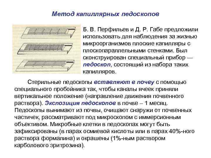 Метод капиллярных педоскопов Б. В. Перфильев и Д. Р. Габе предложили использовать для наблюдения