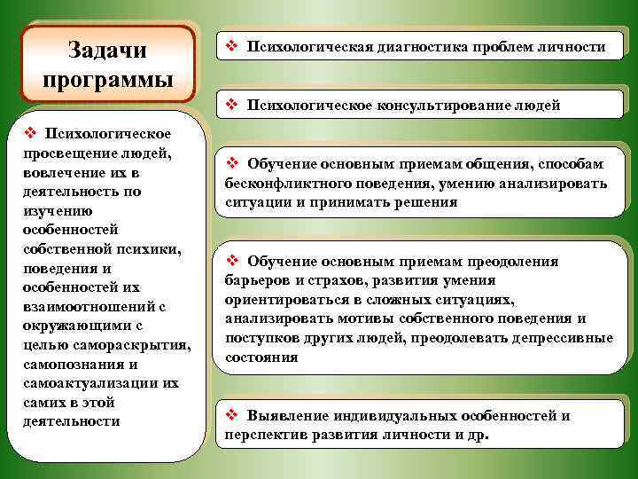 Задачи программы v Психологическая диагностика проблем личности v Психологическое консультирование людей v Психологическое просвещение
