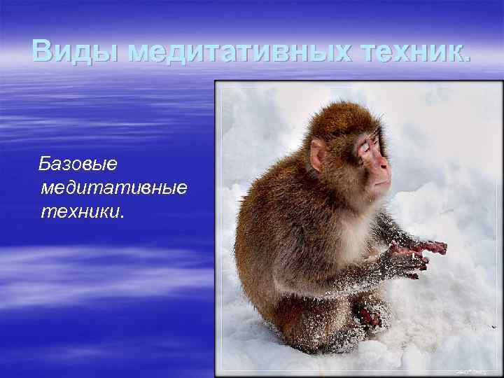 Виды медитативных техник. Базовые медитативные техники. 