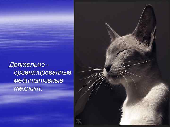 Деятельно ориентированные медитативные техники. 