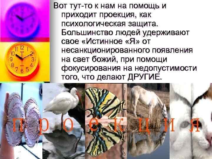 Вот тут-то к нам на помощь и приходит проекция, как психологическая защита. Большинство людей