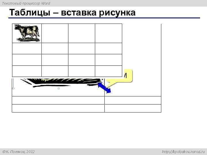 Текстовый процессор Word Таблицы – вставка рисунка ЛКМ К. Поляков, 2012 http: //kpolyakov. narod.