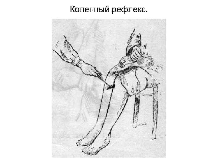 Коленный рефлекс. 