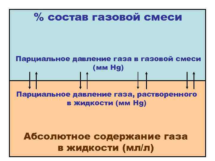 % состав газовой смеси Парциальное давление газа в газовой смеси (мм Hg) Парциальное давление