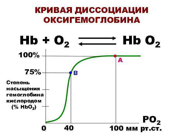 КРИВАЯ ДИССОЦИАЦИИ ОКСИГЕМОГЛОБИНА Hb + O 2 Hb O 2 100% А 75% В