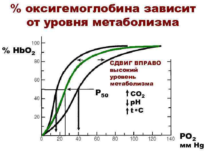 % оксигемоглобина зависит от уровня метаболизма % Hb. O 2 Р 50 СДВИГ ВПРАВО