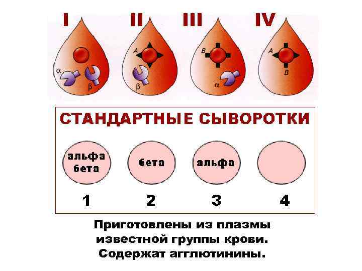 I II IV Приготовлены из плазмы известной группы крови. Содержат агглютинины. 