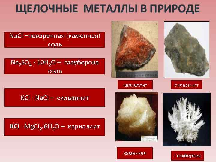 ЩЕЛОЧНЫЕ МЕТАЛЛЫ В ПРИРОДЕ Na. Cl –поваренная (каменная) соль Na 2 SO 4 ∙