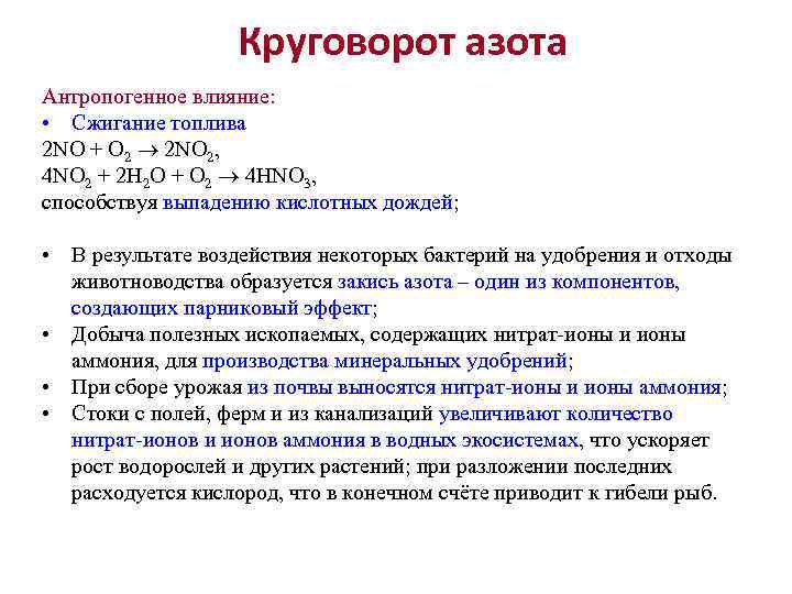 Круговорот азота Антропогенное влияние: • Сжигание топлива 2 NO + O 2 2 NO