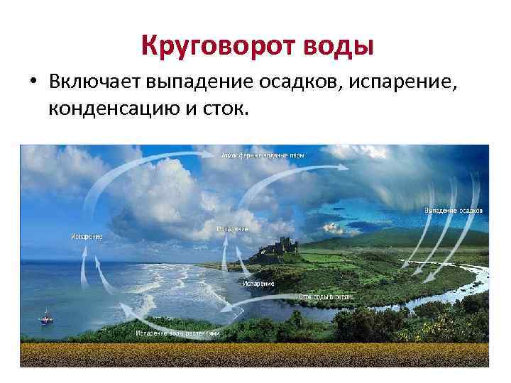 Круговорот воды • Включает выпадение осадков, испарение, конденсацию и сток. 