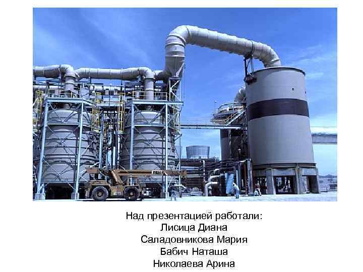 Над презентацией работали: Лисица Диана Саладовникова Мария Бабич Наташа Николаева Арина 