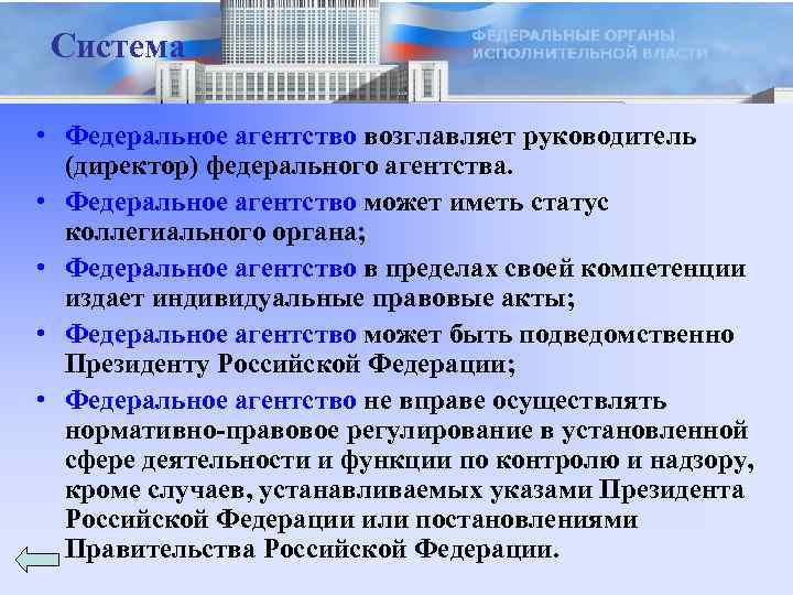 Система • Федеральное агентство возглавляет руководитель (директор) федерального агентства. • Федеральное агентство может иметь