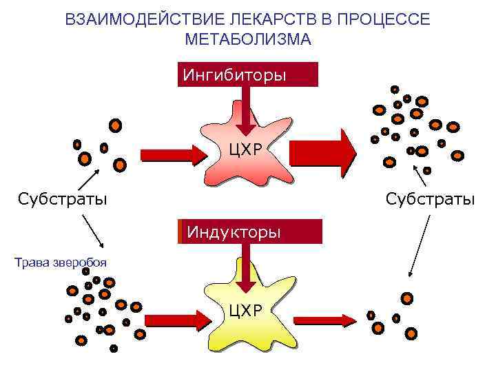 Взаимодействие лекарств