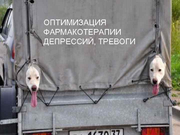 ОПТИМИЗАЦИЯ ФАРМАКОТЕРАПИИ ДЕПРЕССИЙ, ТРЕВОГИ 