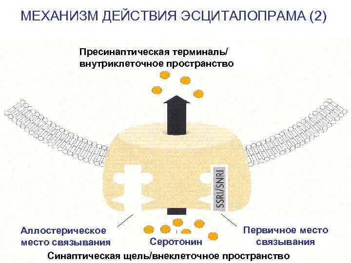 Схема отмены эсциталопрама