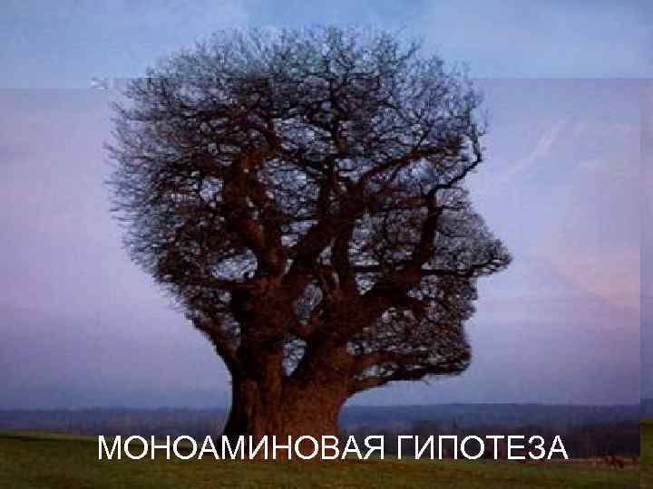МОНОАМИНОВАЯ ГИПОТЕЗА 