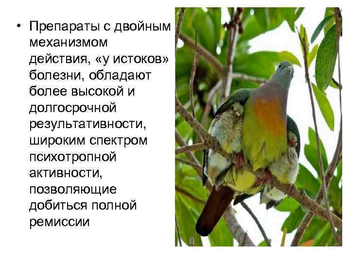  • Препараты с двойным механизмом действия, «у истоков» болезни, обладают более высокой и