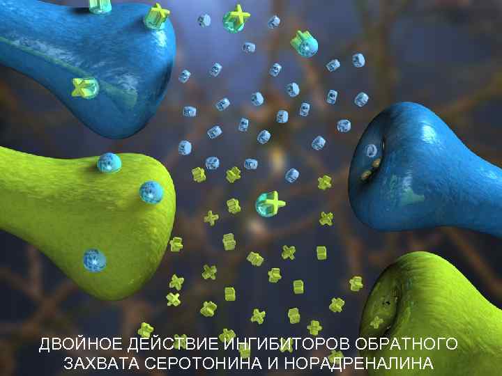 ДВОЙНОЕ ДЕЙСТВИЕ ИНГИБИТОРОВ ОБРАТНОГО ЗАХВАТА СЕРОТОНИНА И НОРАДРЕНАЛИНА 