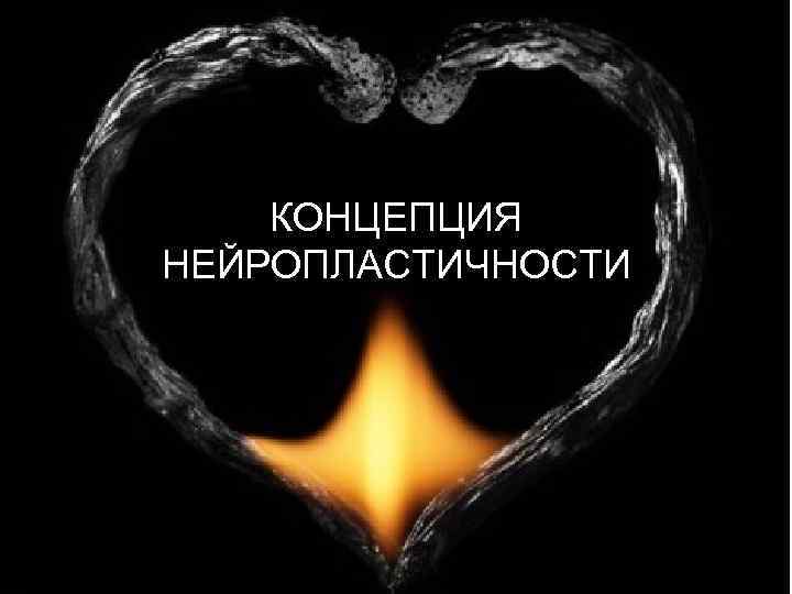 ДЕПРЕССИЯ: КОНЦЕПЦИЯ НЕЙРОПЛАСТИЧНОСТИ 