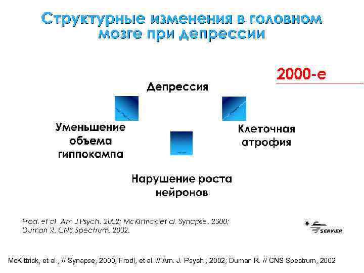Mc. Kittrick, et al. , // Synapse, 2000; Frodl, et al. // Am. J.