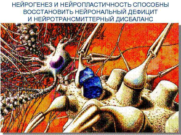 НЕЙРОГЕНЕЗ И НЕЙРОПЛАСТИЧНОСТЬ СПОСОБНЫ ВОССТАНОВИТЬ НЕЙРОНАЛЬНЫЙ ДЕФИЦИТ И НЕЙРОТРАНСМИТТЕРНЫЙ ДИСБАЛАНС 