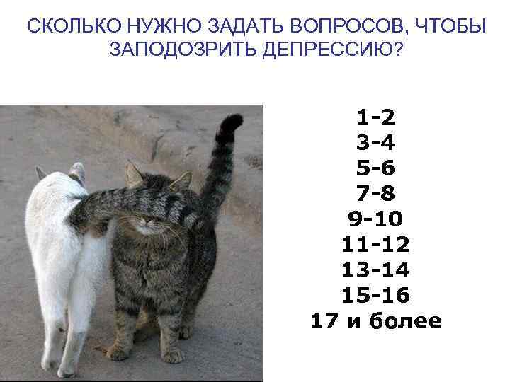 СКОЛЬКО НУЖНО ЗАДАТЬ ВОПРОСОВ, ЧТОБЫ ЗАПОДОЗРИТЬ ДЕПРЕССИЮ? 1 -2 3 -4 5 -6 7