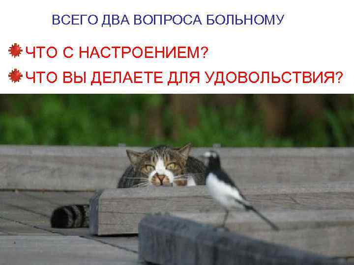 ВСЕГО ДВА ВОПРОСА БОЛЬНОМУ ЧТО С НАСТРОЕНИЕМ? ЧТО ВЫ ДЕЛАЕТЕ ДЛЯ УДОВОЛЬСТВИЯ? 