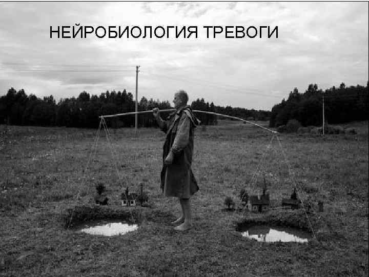 НЕЙРОБИОЛОГИЯ ТРЕВОГИ 