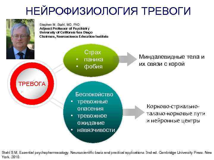 НЕЙРОФИЗИОЛОГИЯ ТРЕВОГИ Stephen M. Stahl, MD, Ph. D Adjunct Professor of Psychiatry University of