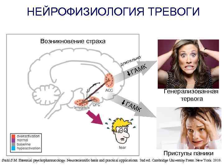НЕЙРОФИЗИОЛОГИЯ ТРЕВОГИ Возникновение страха о льн ите л д К АМ Г ГА Генерализованная