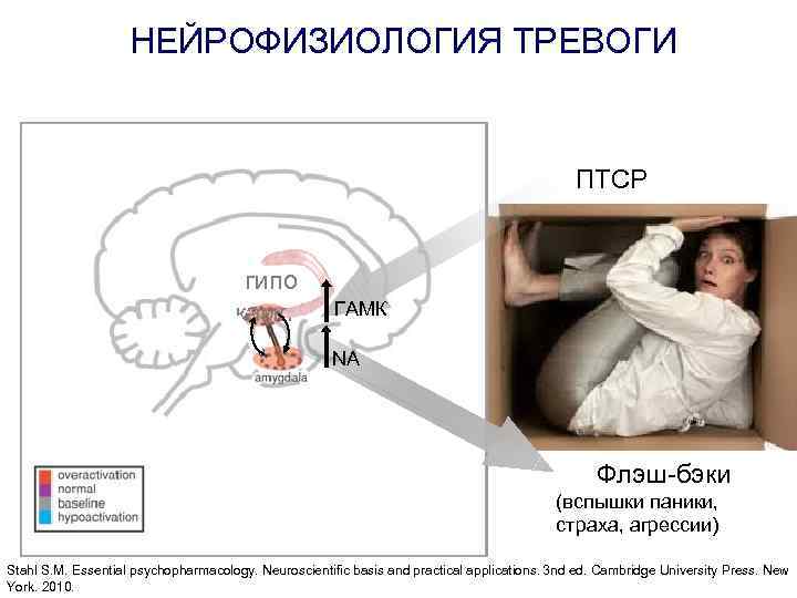 Какое утверждение птср является верным. Нейрофизиология тревоги. Нейрофизиология страха. Нейрофизиология тревожности. Нейрофизиология депрессии.