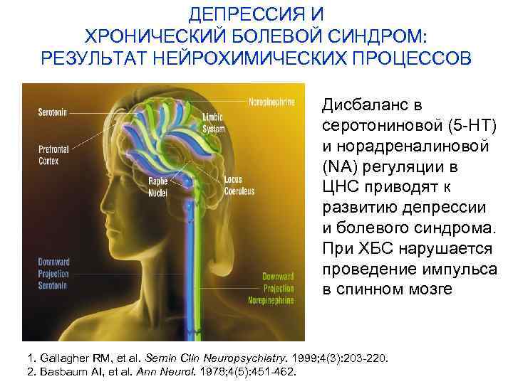 Презентация синдром хронической боли