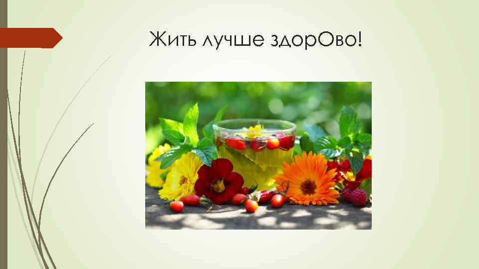 Жить лучше здор. Ово! 