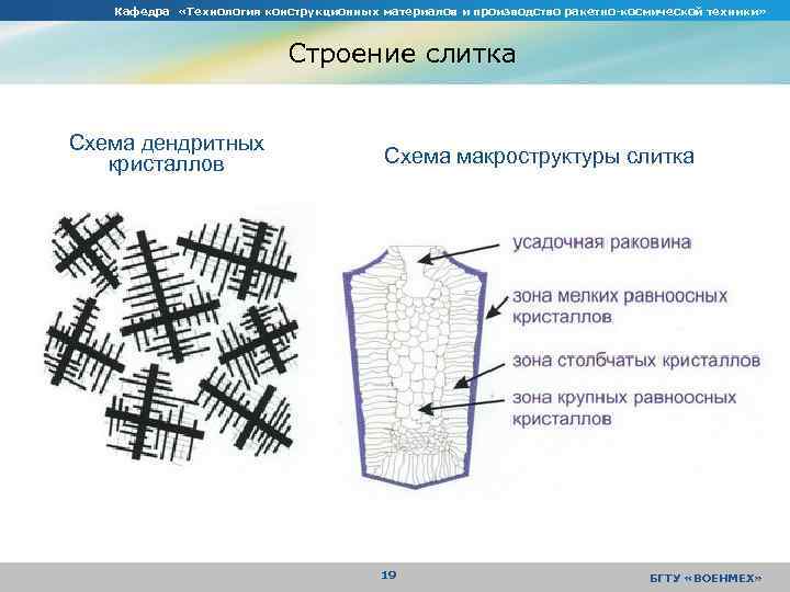 Кафедра «Технология конструкционных материалов и производство ракетно-космической техники» Строение слитка Схема дендритных кристаллов Схема