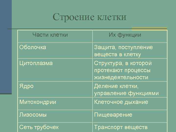 Строение клетки Части клетки Их функции Оболочка Защита, поступление веществ в клетку Цитоплазма Структура,